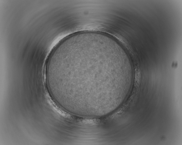 X0000115321078200911161739