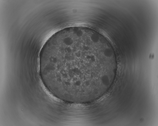 X0000115321079200911161739