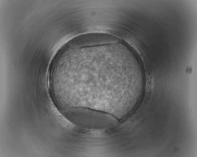 X0000115321080200911161739