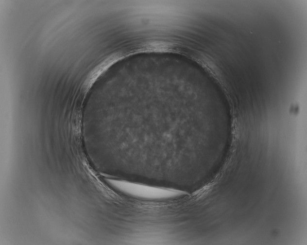 X0000115321081200911161739