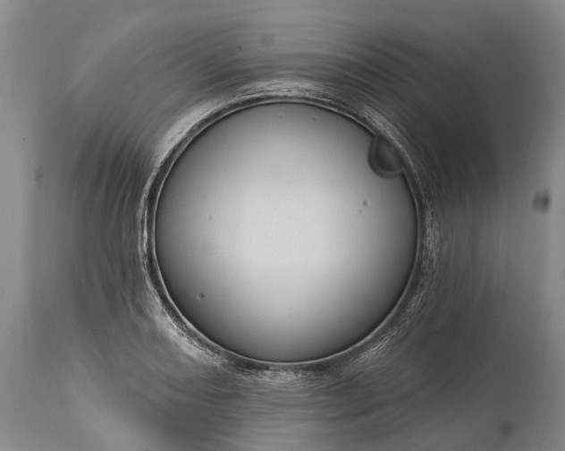 X0000115321082200911161739