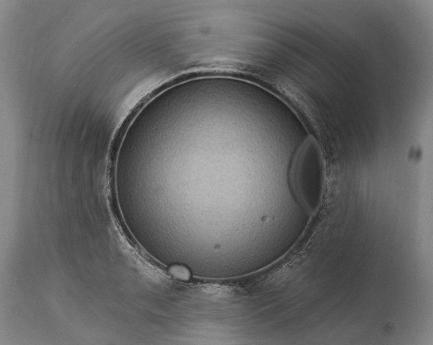 X0000115321085200911161739