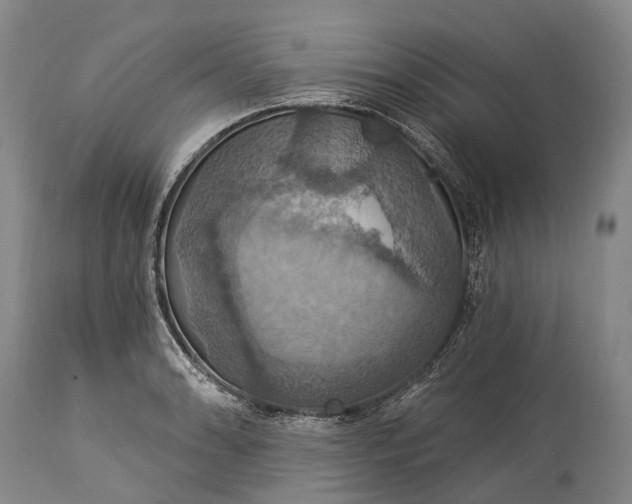 X0000115321086200911161739