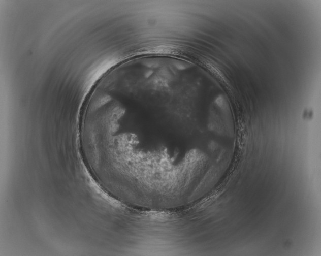 X0000115321087200911161739