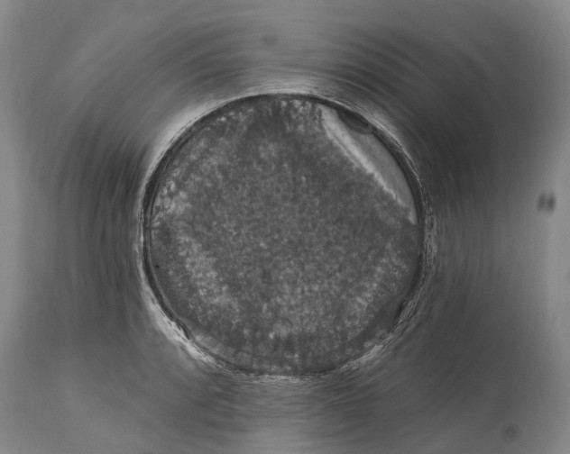 X0000115321088200911161739