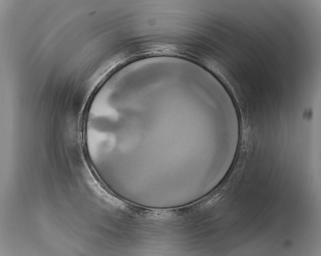 X0000115321090200911161739