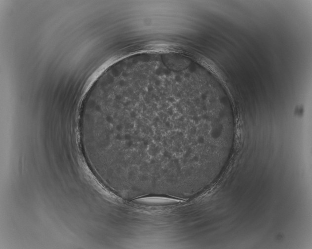 X0000115321091200911161739