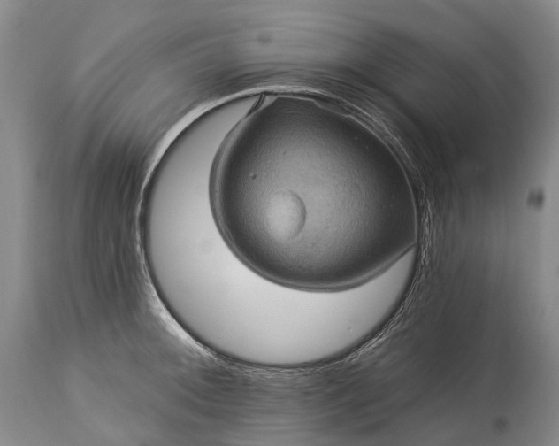 X0000115321092200911161739