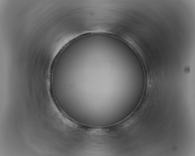 X0000115321093200911161739