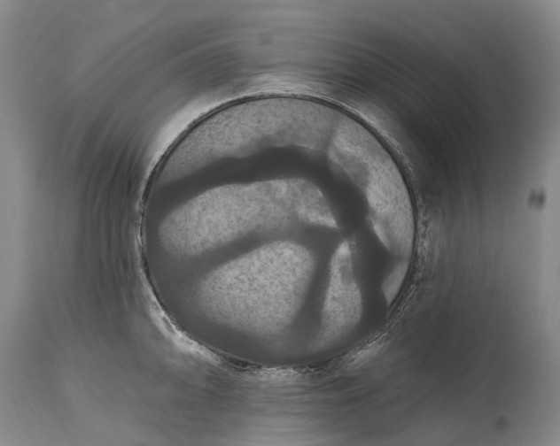 X0000115321094200911161739