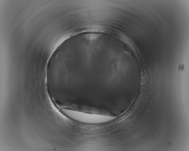 X0000115321095200911161739