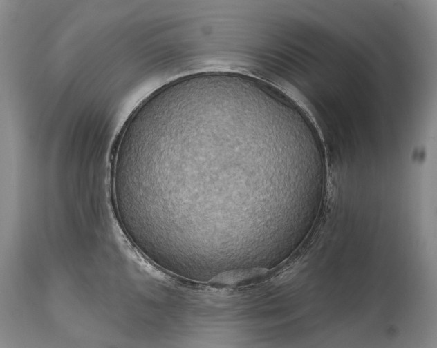 X0000115321096200911161739