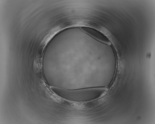 X0000115321097200911161739