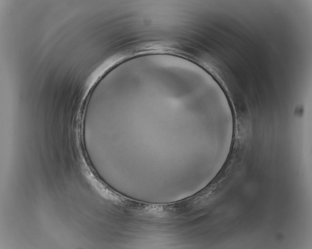 X0000115321098200911161739