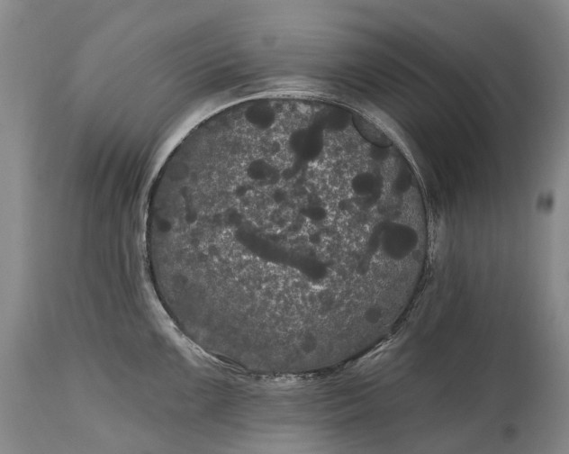 X0000115321099200911161739