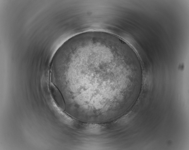 X0000115321100200911161739