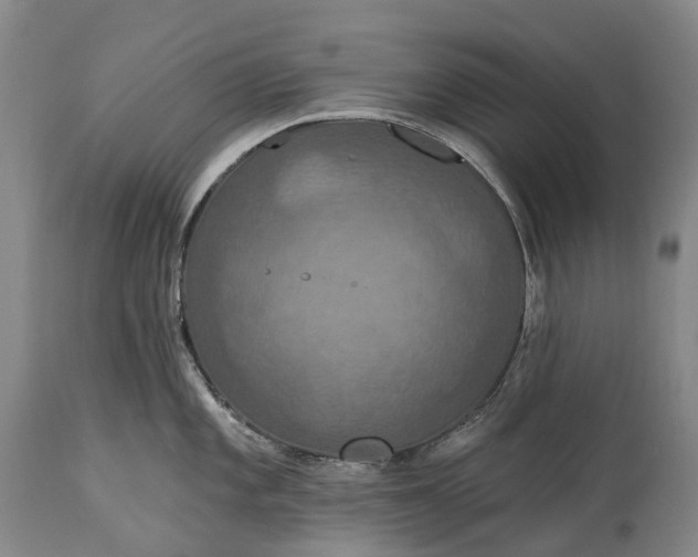 X0000115321101200911161739