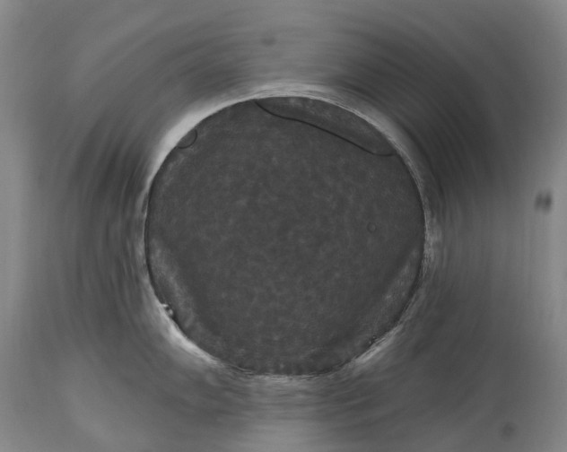 X0000115321102200911161739