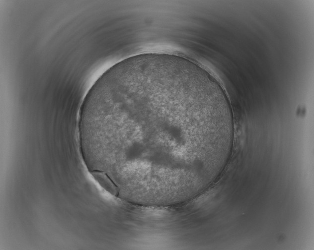 X0000115321103200911161739