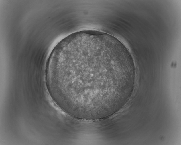 X0000115321104200911161739