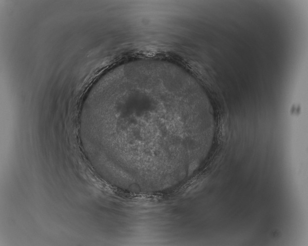 X0000115321105200911161738