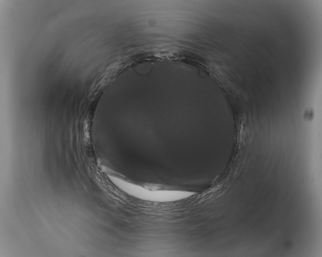 X0000115321106200911161738