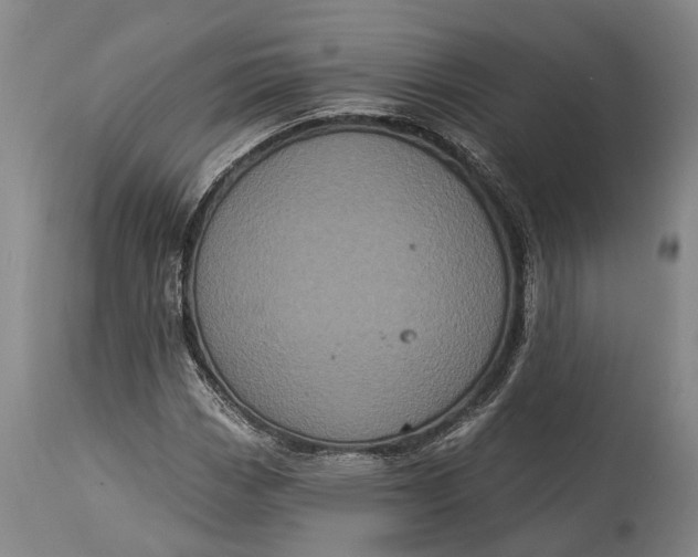 X0000115321113200911161738