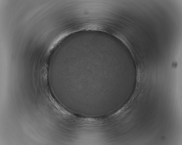 X0000115321115200911161738