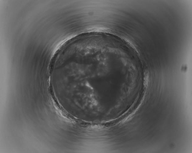 X0000115321117200911161738