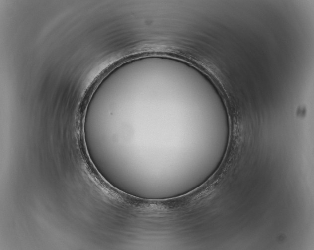 X0000115321119200911161738