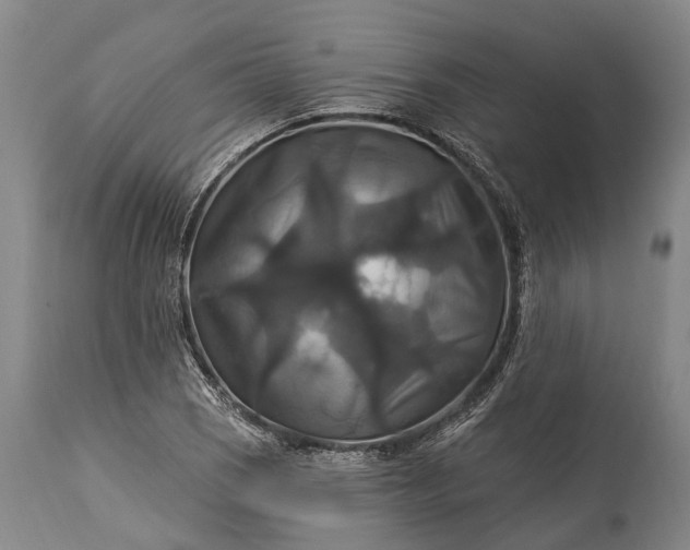 X0000115321121200911161738