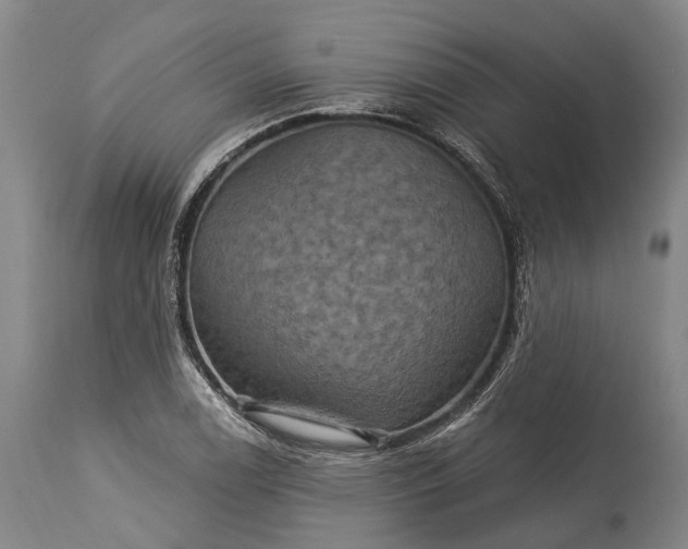 X0000115321122200911161738