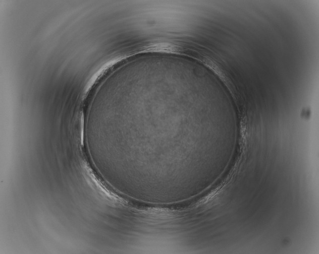 X0000115321123200911161738