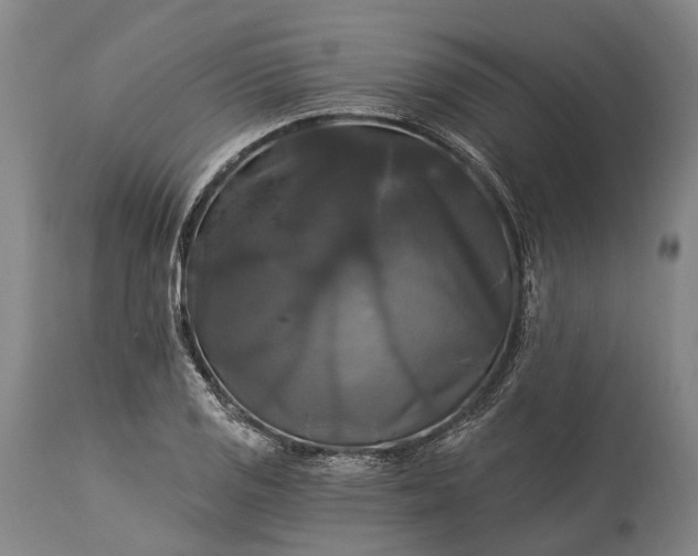 X0000115321125200911161738