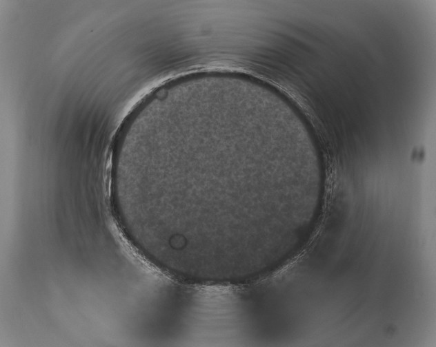 X0000115321126200911161738