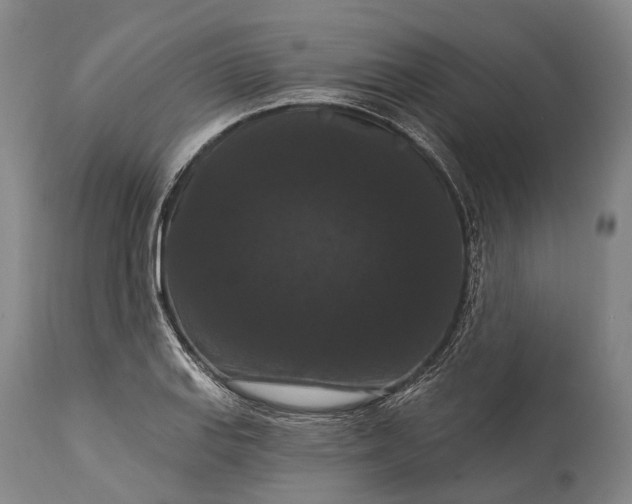 X0000115321127200911161738