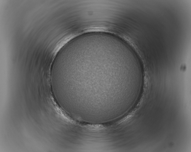 X0000115321129200911161738