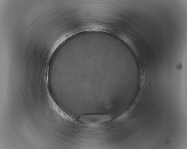 X0000115321130200911161739