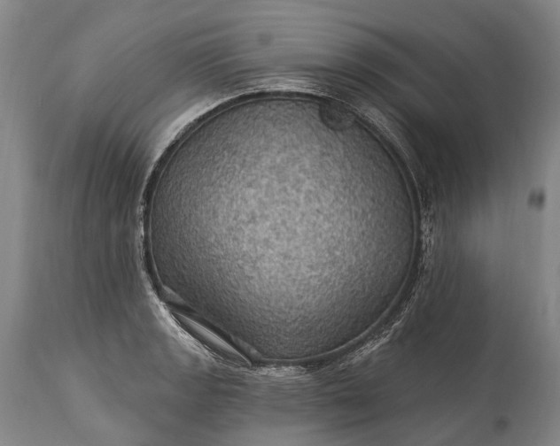 X0000115321133200911161739