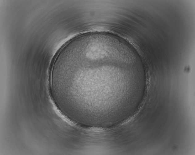 X0000115321134200911161739