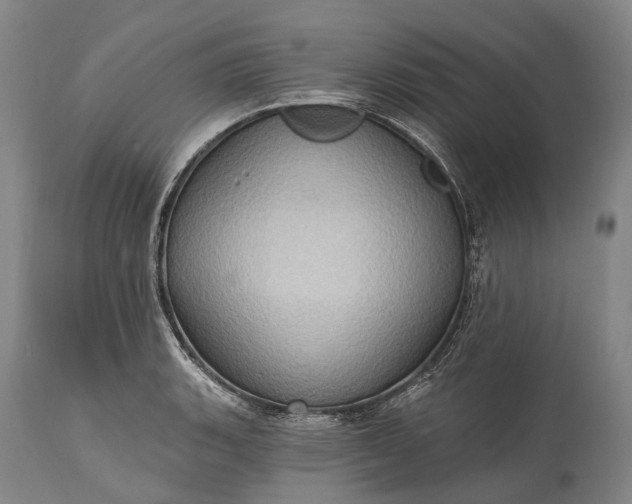 X0000115321135200911161739