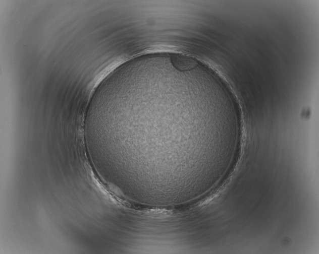 X0000115321137200911161739