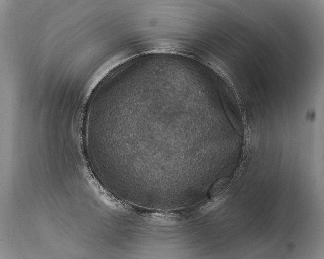 X0000115321138200911161739