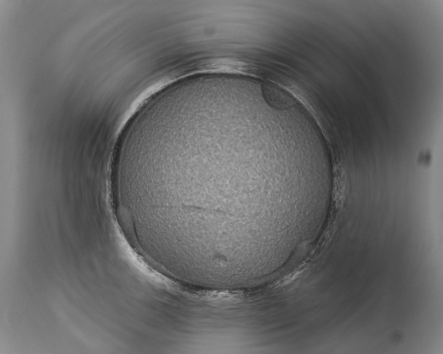 X0000115321139200911161739