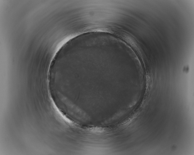 X0000115321141200911161739