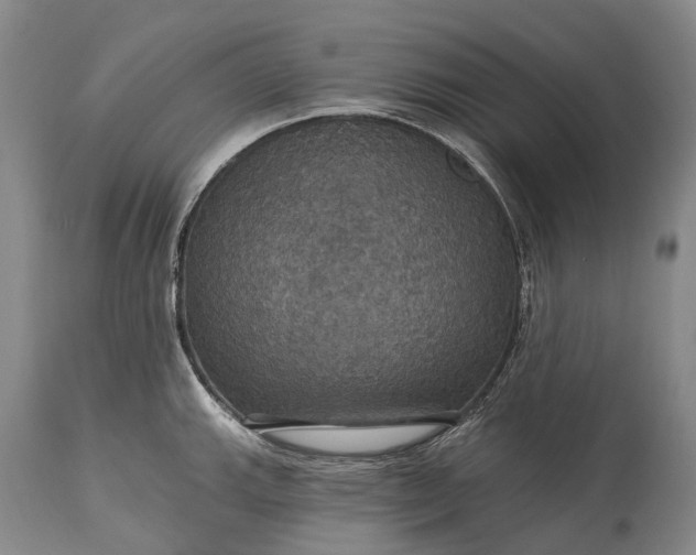 X0000115321143200911161739