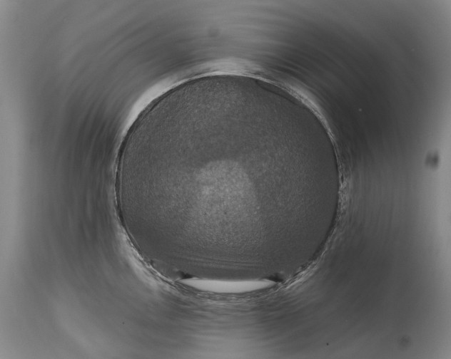 X0000115321146200911161739