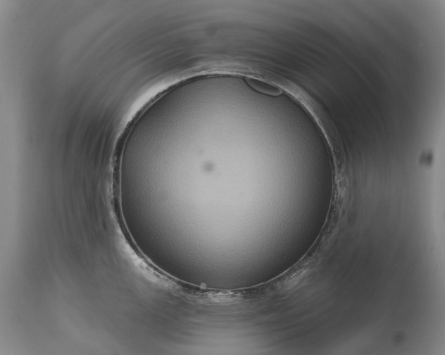 X0000115321147200911161739