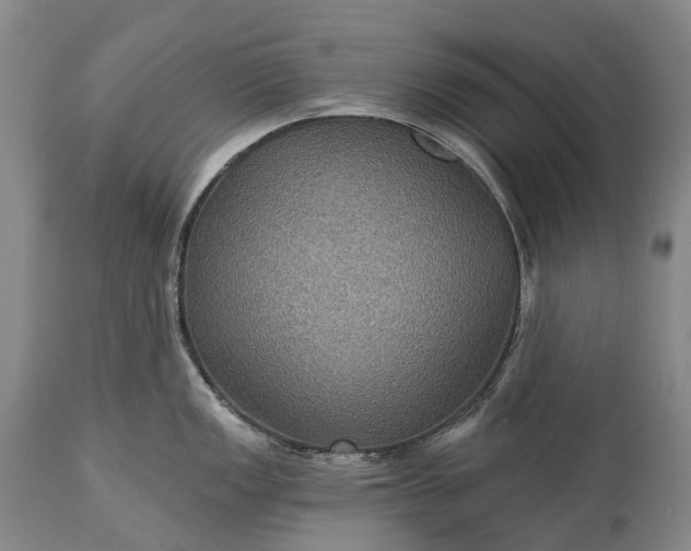 X0000115321149200911161739