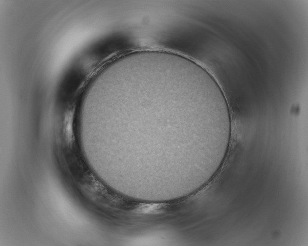 X0000115321150200911161739